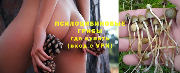кристаллы Дмитровск