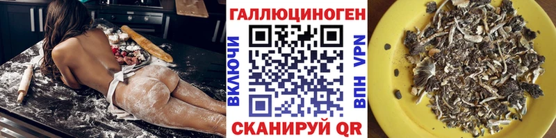 Купить закладки  Кизляр  Галлюциногенные грибы Magic Shrooms 