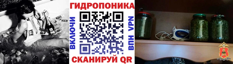 МАРИХУАНА OG Kush  Купить  Кизляр 